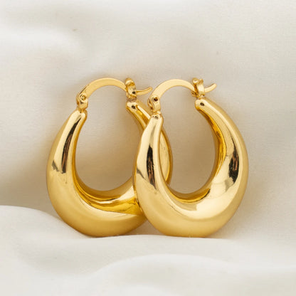 Delicate Hoop Earrings Gold Color Circle Chunky Earrings for Women  Fashion Engagement Party Jewelry Luxury Jewellry Accessories