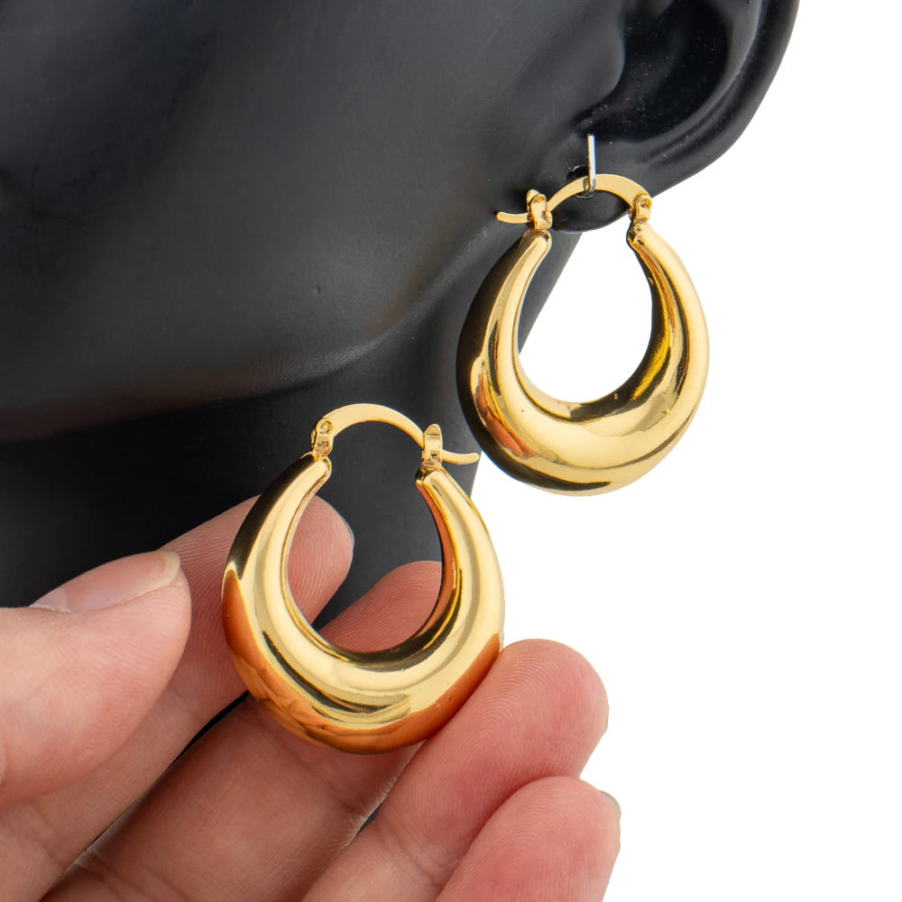 Delicate Hoop Earrings Gold Color Circle Chunky Earrings for Women  Fashion Engagement Party Jewelry Luxury Jewellry Accessories