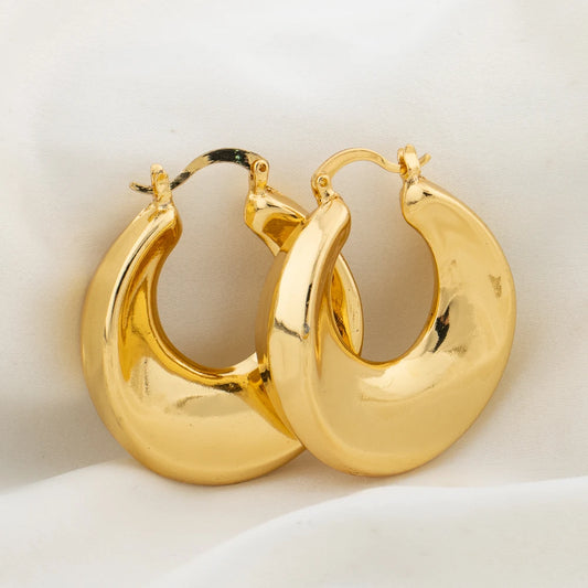 Delicate Hoop Earrings Gold Color Circle Chunky Earrings for Women  Fashion Engagement Party Jewelry Luxury Jewellry Accessories