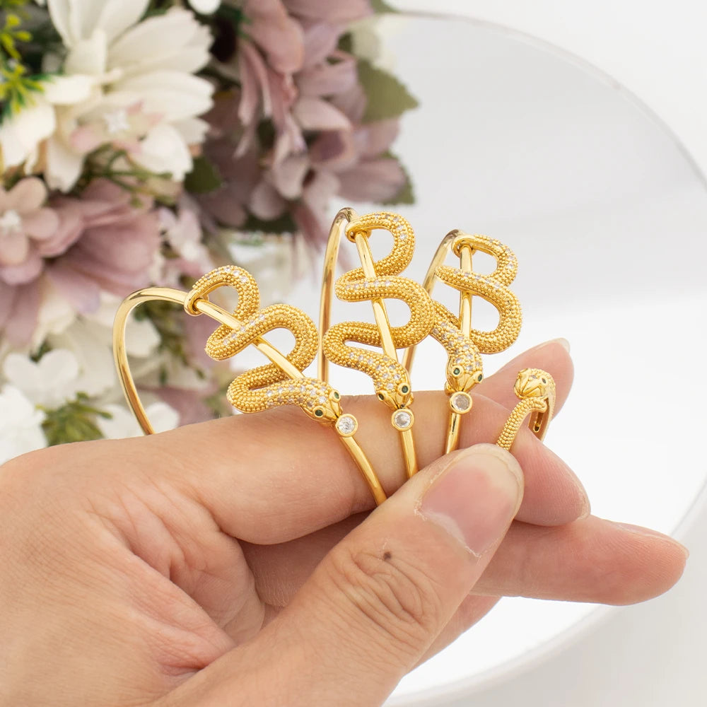 Gothic Snake Finger Bracelet & Ring Set, New Fashion Punk Jewelry for Women, Personality Accessories for Jewelry Gift