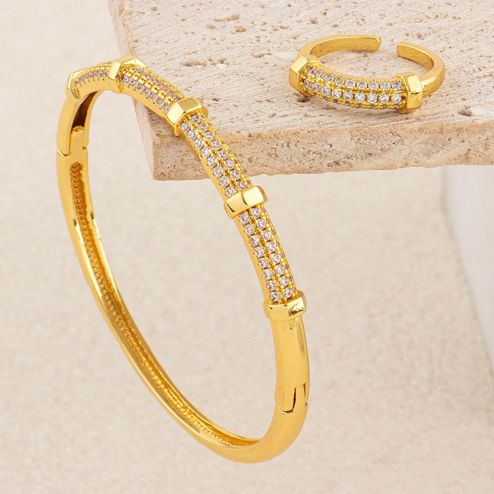 Exquisite Classic Pattern Stainless Steel Gold Color Snake Opening Zirconia Bracelet Women's Jewelry Accessories Summer Gift
